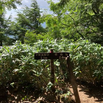 富士見ベンチ