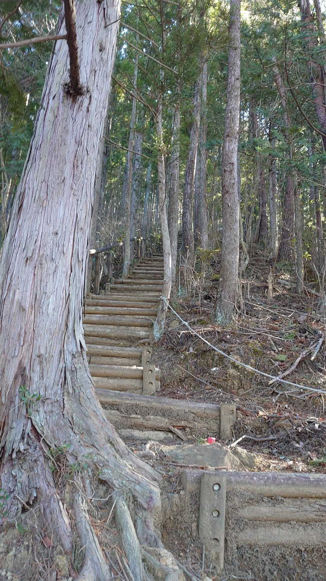 東奥の院をクルッと周り、観音山方面へ長い階段で久しぶりの登山😚