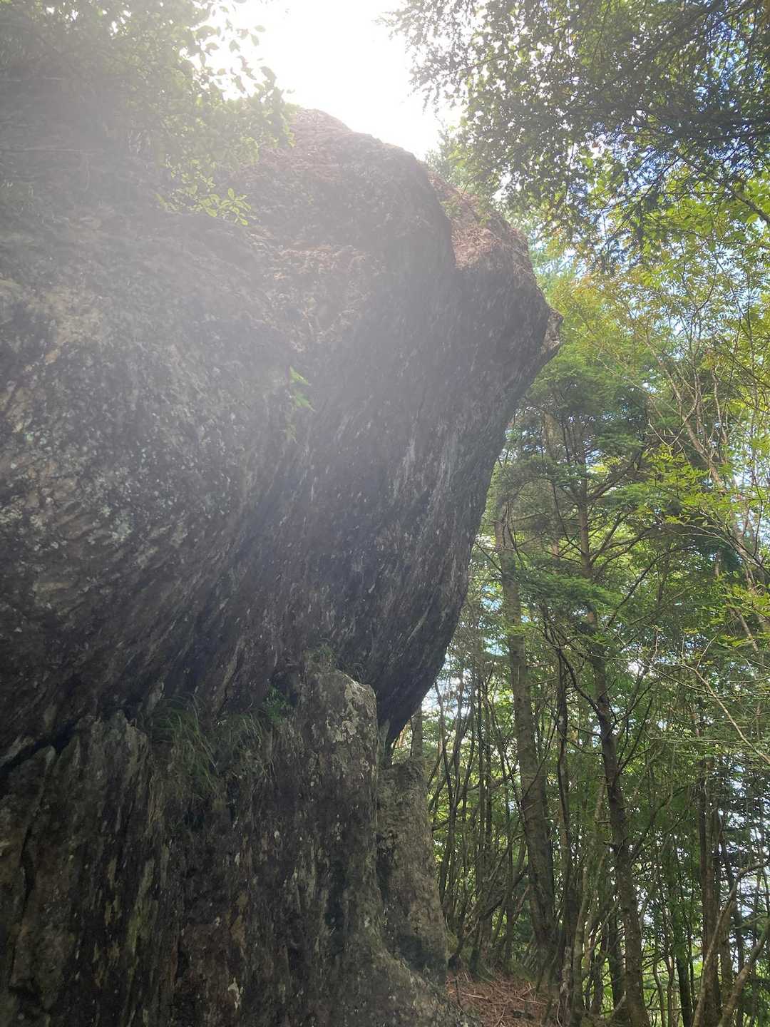 でか岩