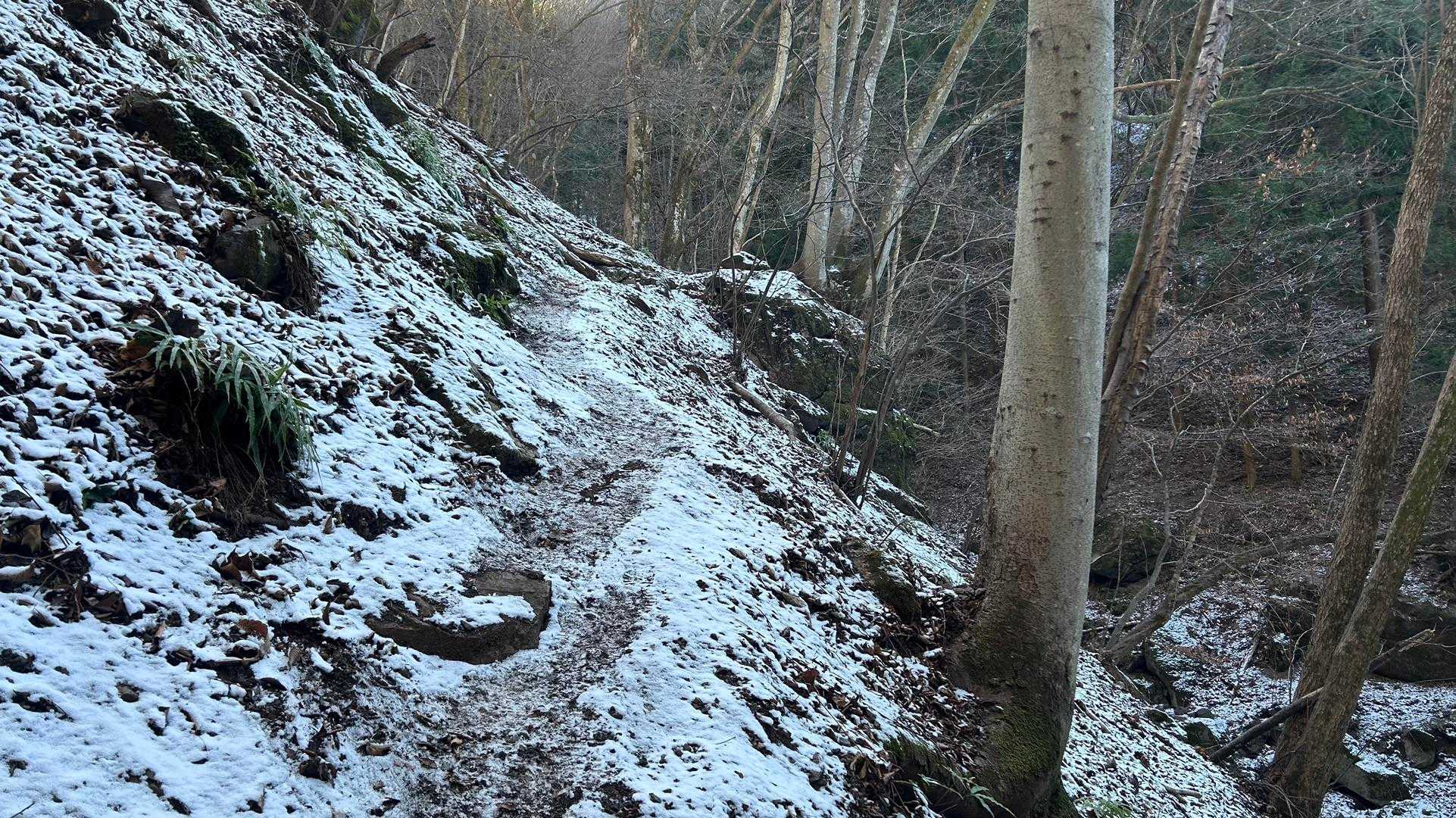兵の沢コース登山口-二子山 往復コースの写真