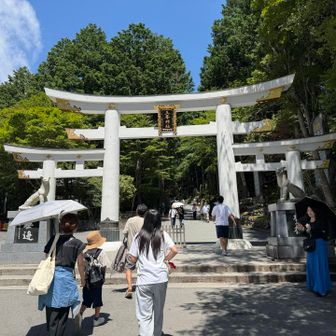 この神社は儲かってるなって感じの鳥居⛩️をくぐって正しく進みます