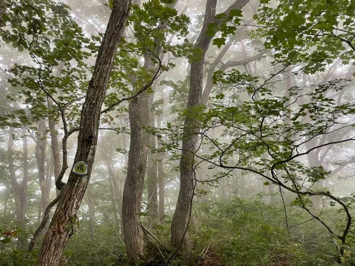 西黒森山・狐越ルートの写真