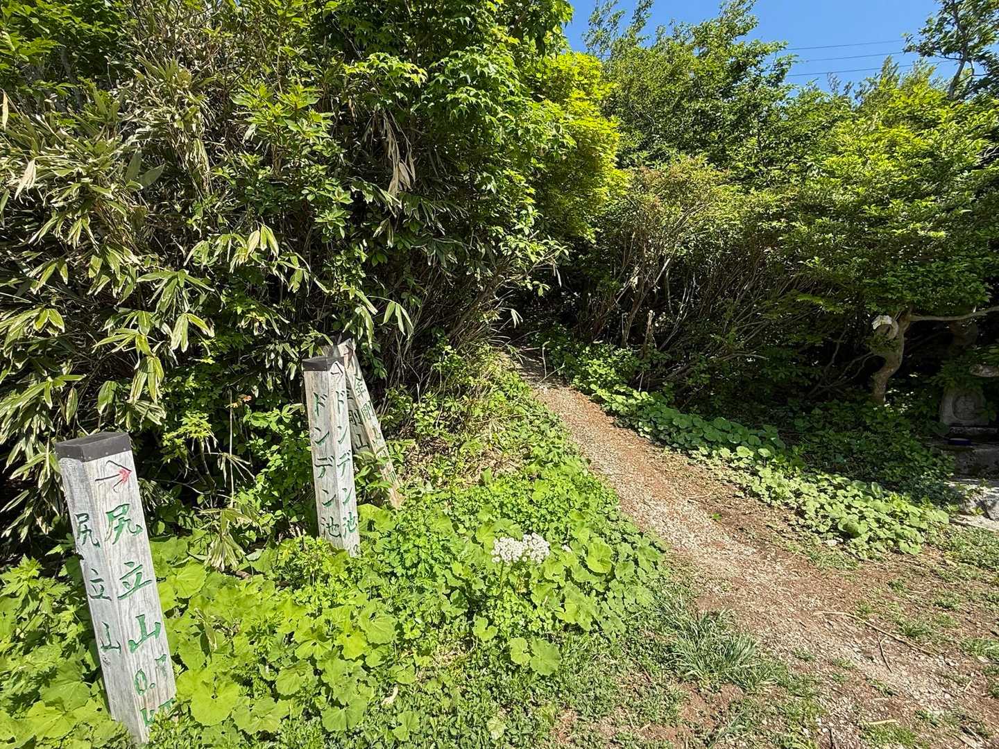 ドンデン山(尻立山)に向かいます💨

同じ東京からいらしたご夫婦と立ち話…時計回り🔁に歩くそう、私はすぐに山に入る反時計回りで山頂目指します💪

クマがいないのでソロでも安心🤗