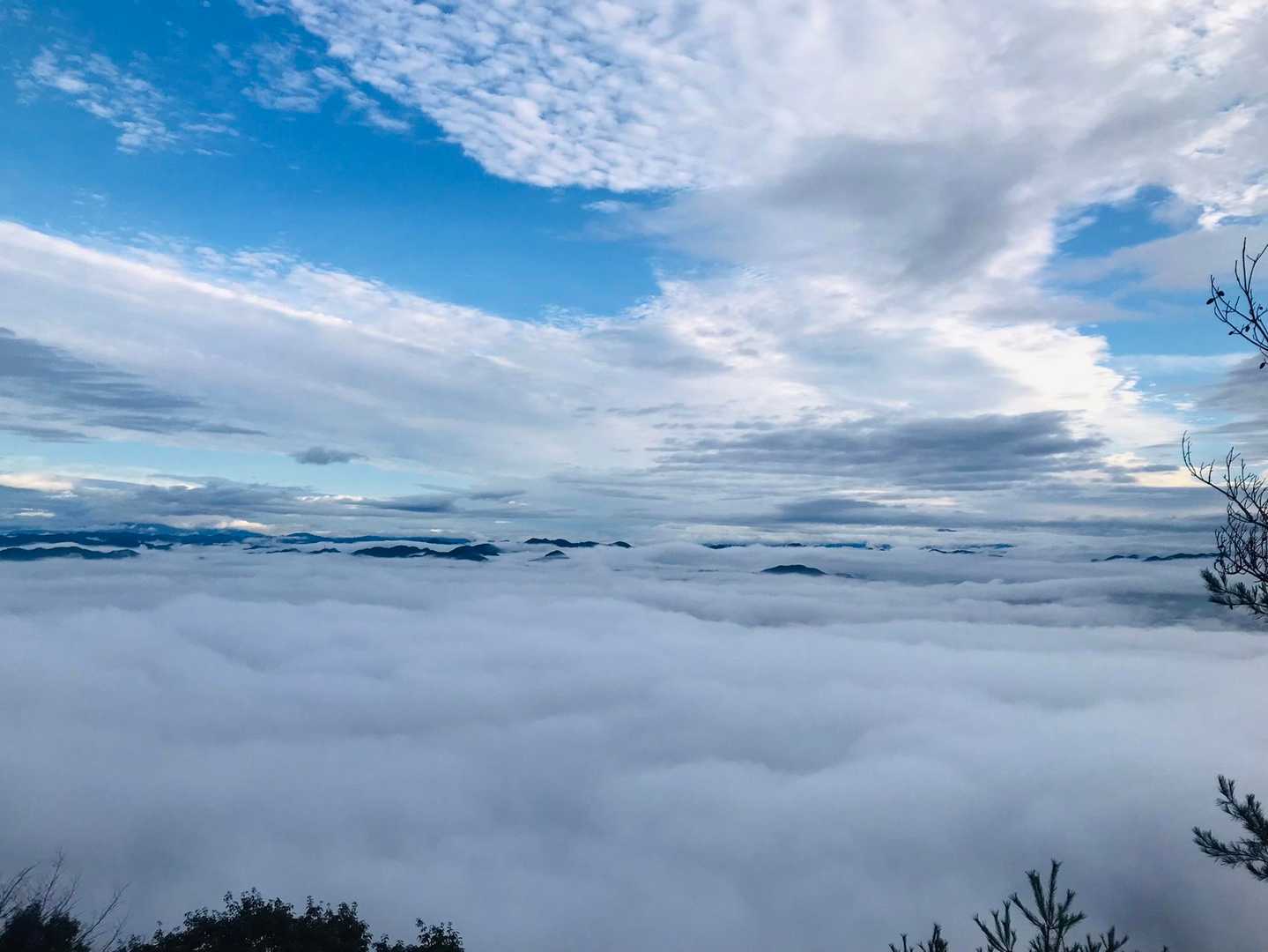 鳩吹山遊歩道真禅寺入口-鳩吹山 往復コースの写真