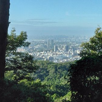 遠征日和ですが近場で我慢です。