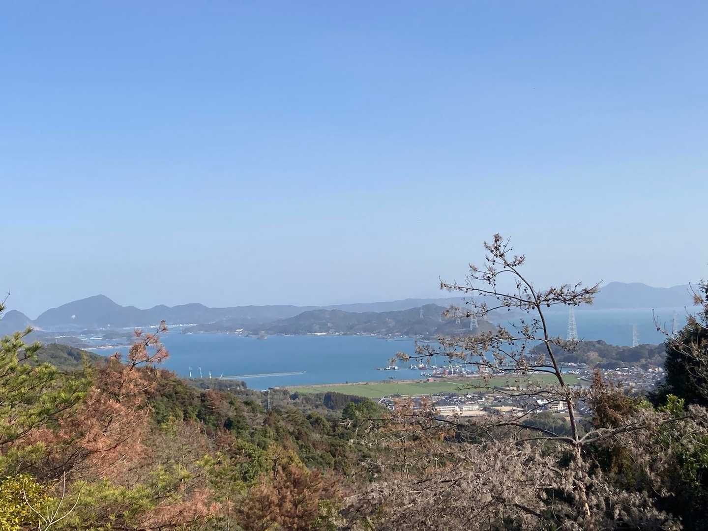 樹々の間から海が見えるの最高✨