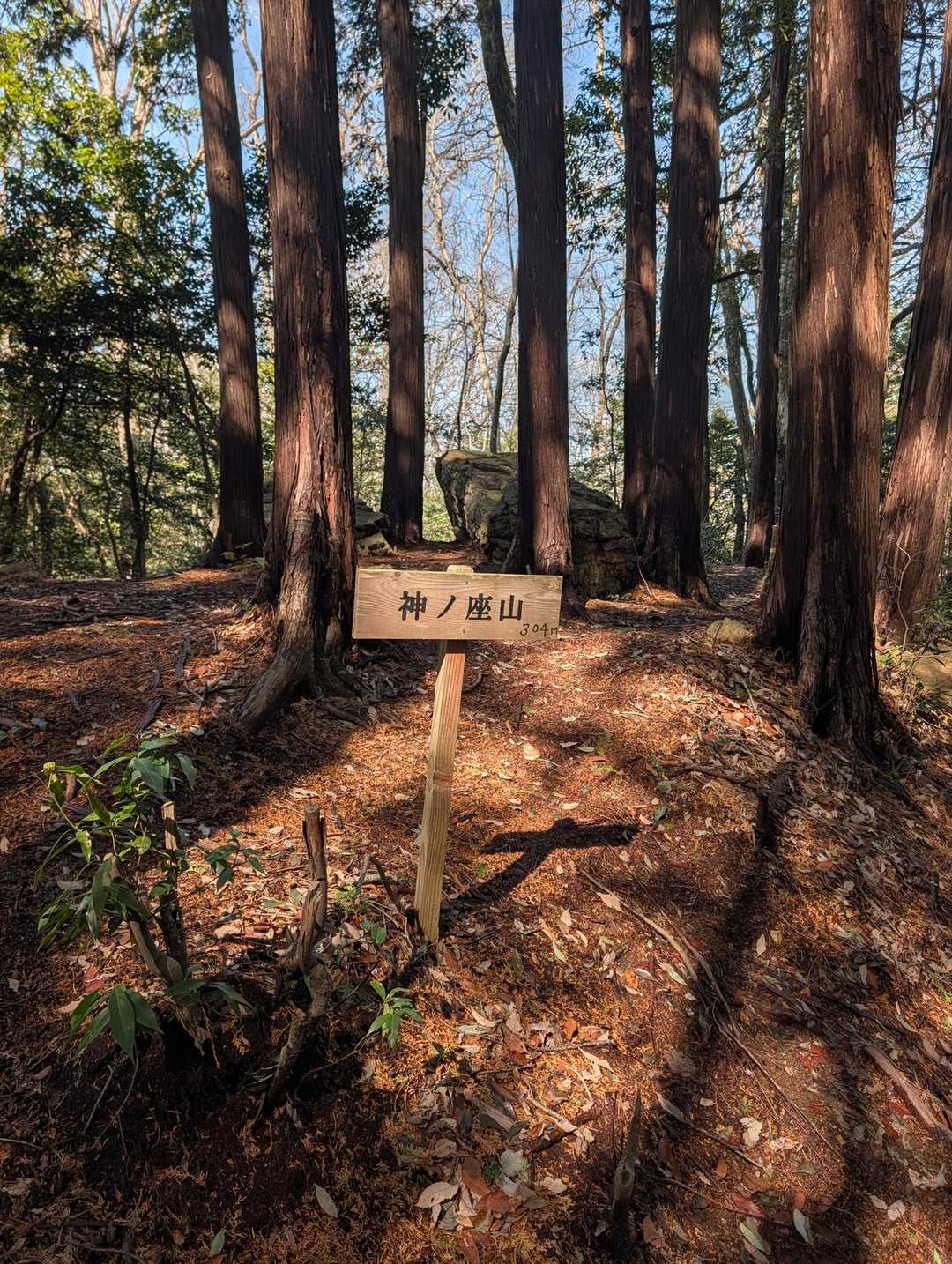 神ノ座山