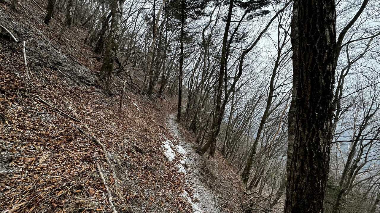 奥多摩、石尾根テン泊縦走（鴨沢〜七ツ石山〜鷹ノ巣山〜六ツ石山〜奥多摩駅） の写真 51