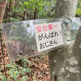 はーい🙋‍♂️頑張ります❗️
