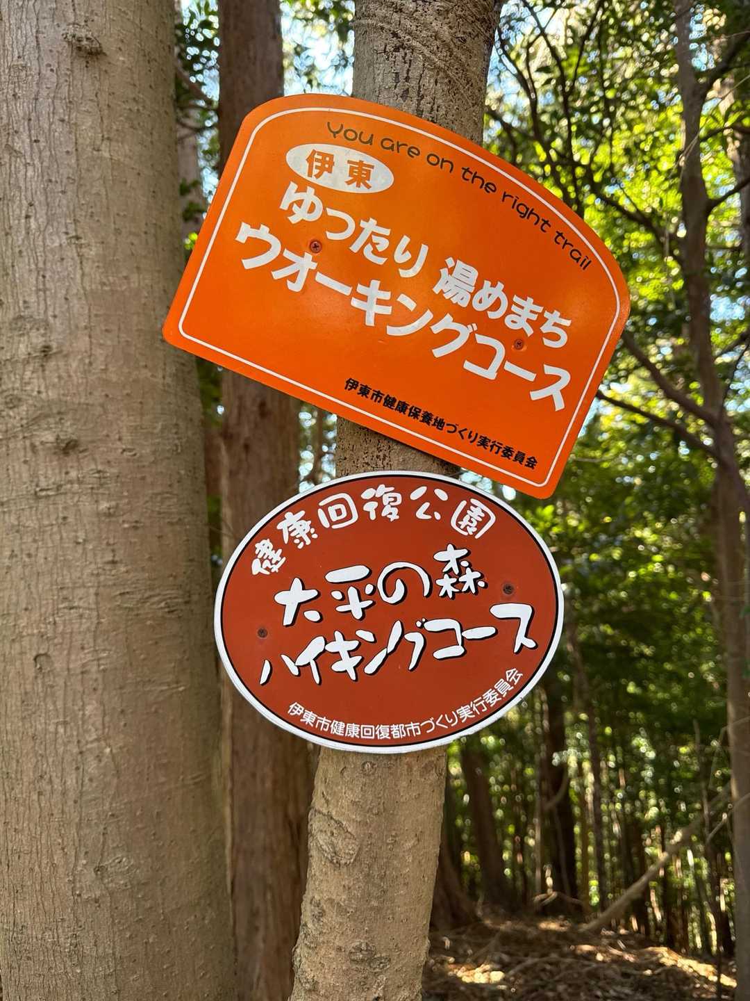 オレンジ色の方のカンバンが、これでもかっ！というレベルで登場😅心強かったです👍