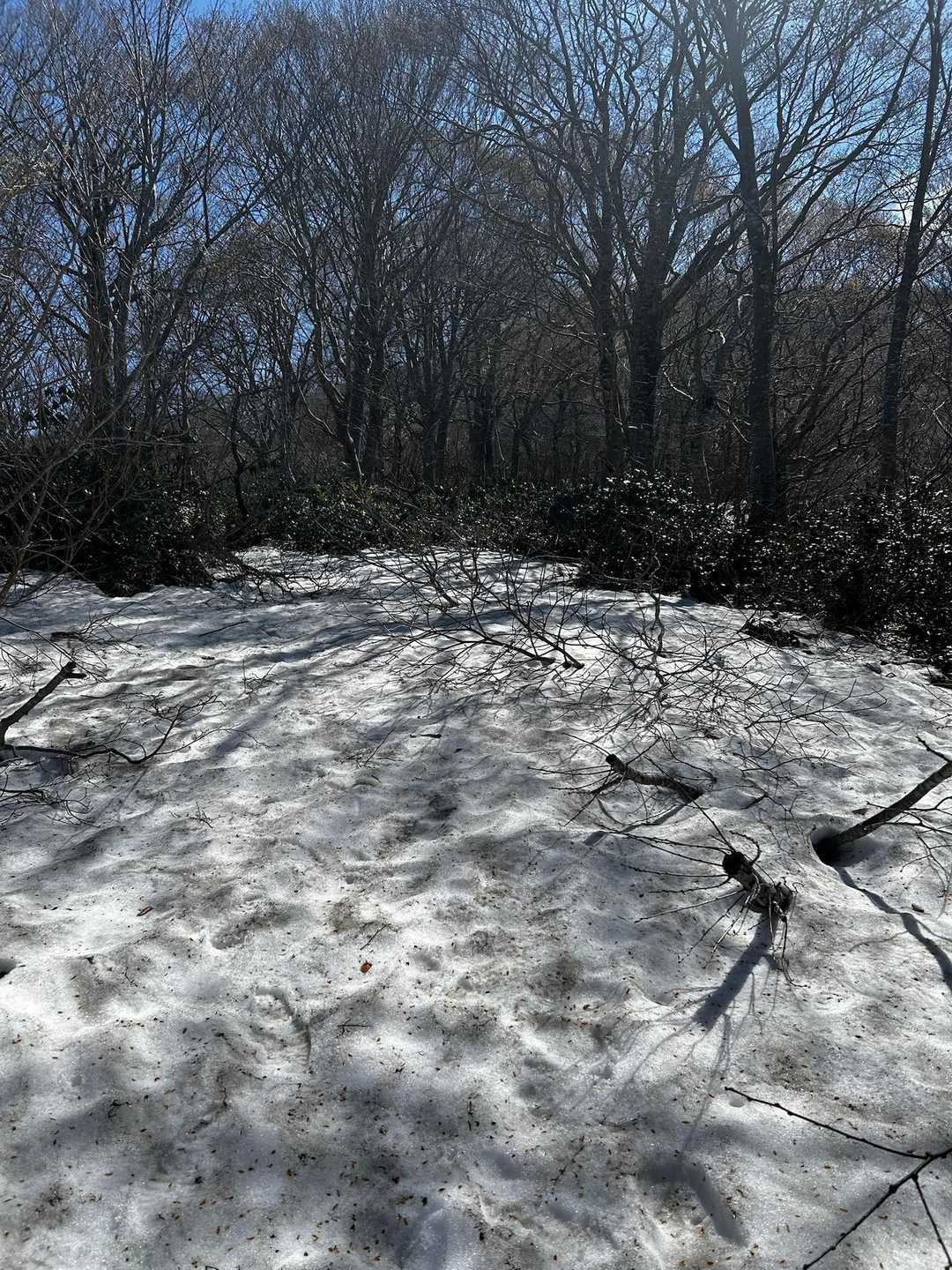 9合目から雪道❄️