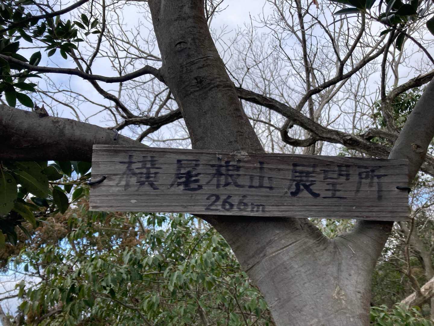 三越山-黒河内山 往復コースの写真