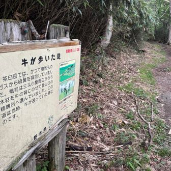 牛も歩く広い道