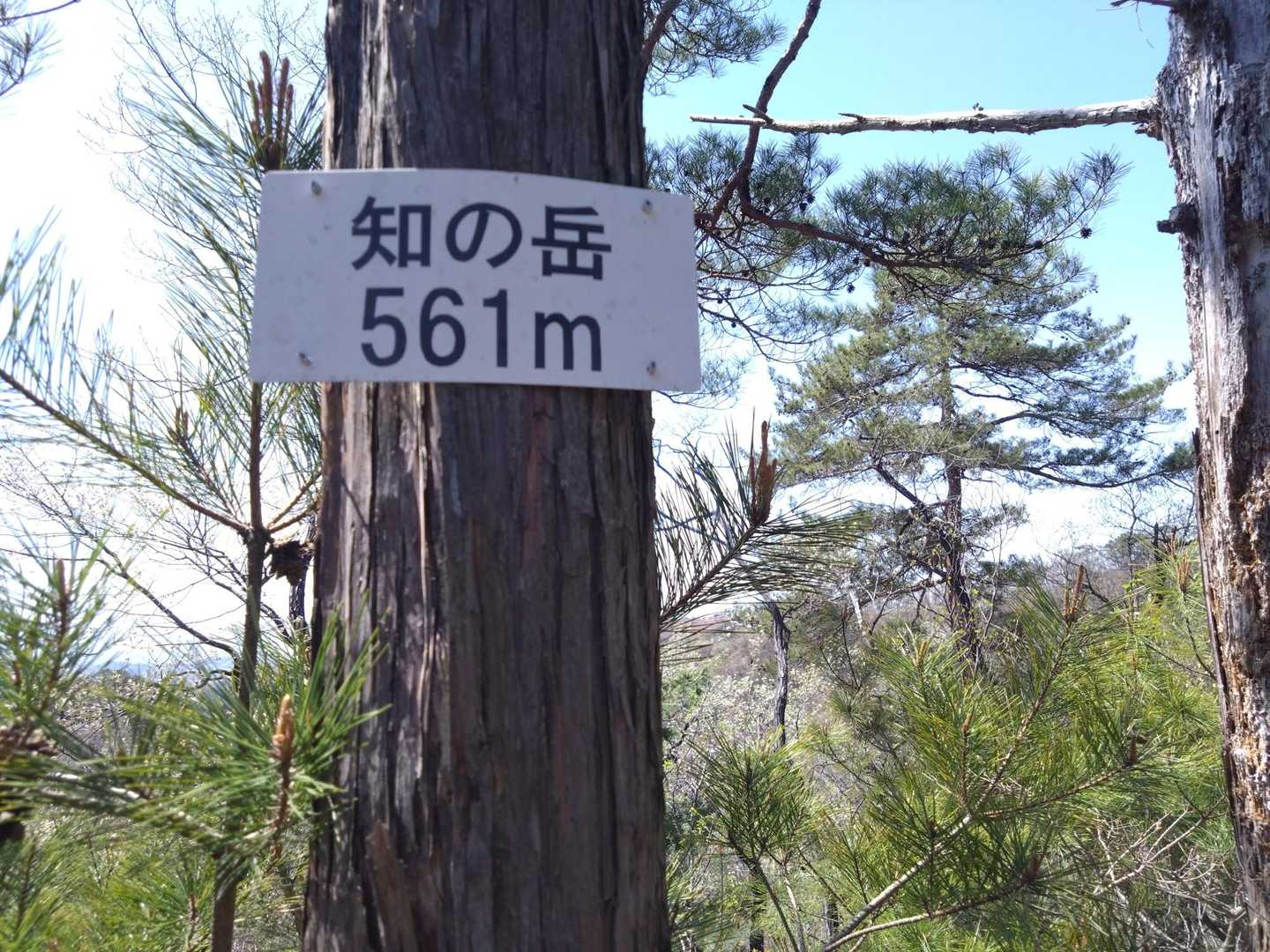 知の岳登頂💪