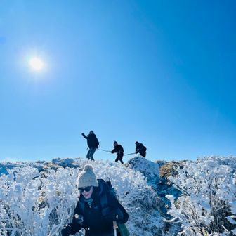 そんなこんなで…
背後に大巨人🧌に繋がれたサナギ達が
やってきたょ ~ ~😳
『まるこ必死に逃げるの巻』