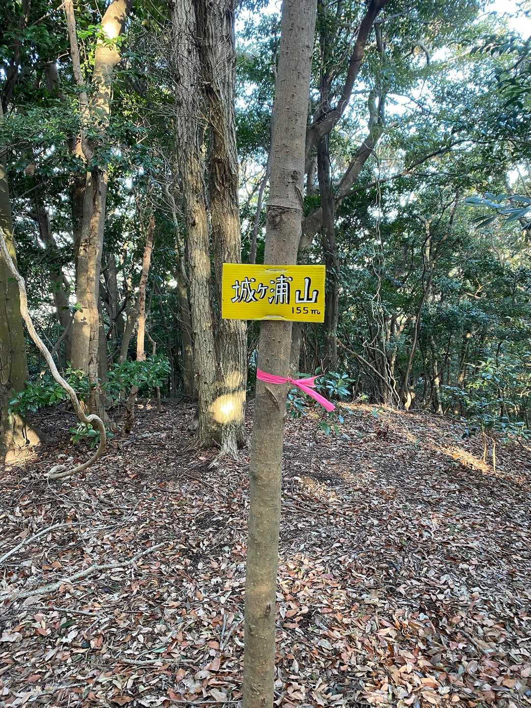 四季の風さんかな？🤔
