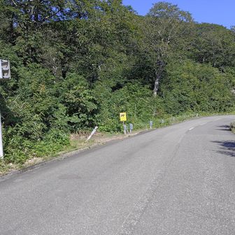 登山口
ここから登って行きます。
登山道はよく整備されています。