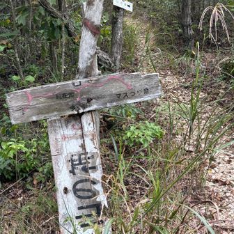 山の神の看板が倒れていますが、