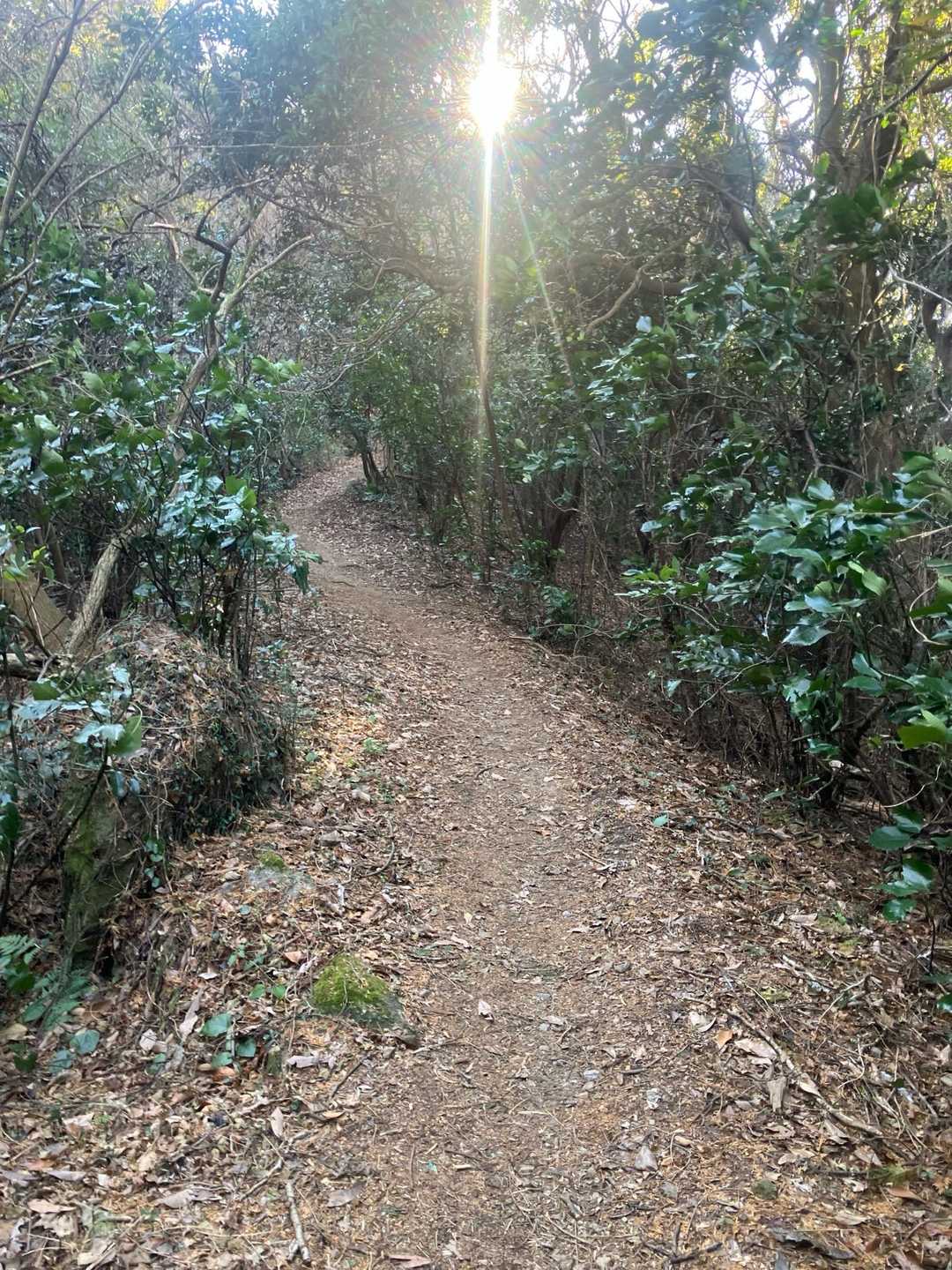 歩き易いルートで助かりました。