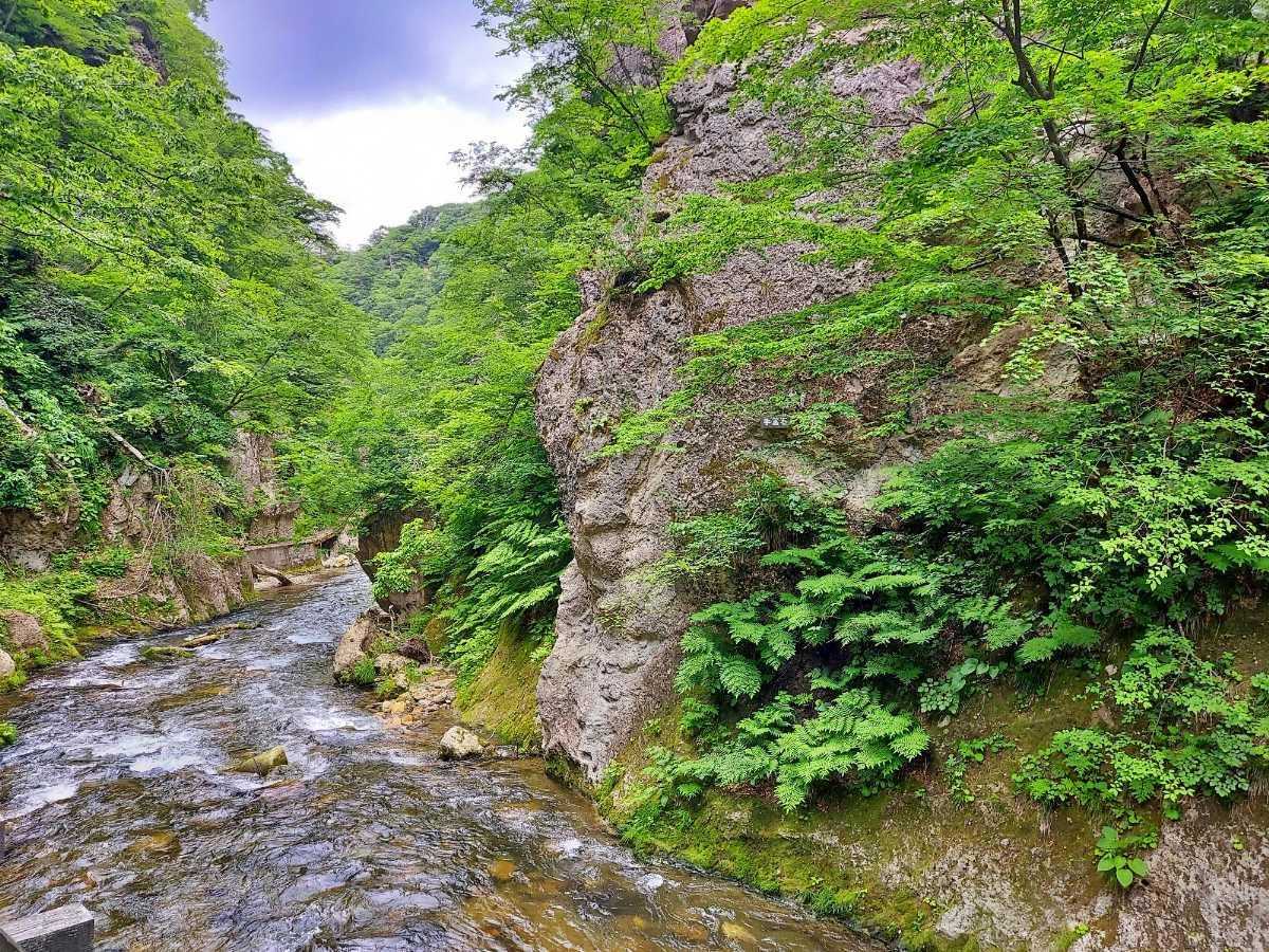 【鳴子峡】深さ100mの大峡谷が織りなす絶景｜宮城・大崎の写真