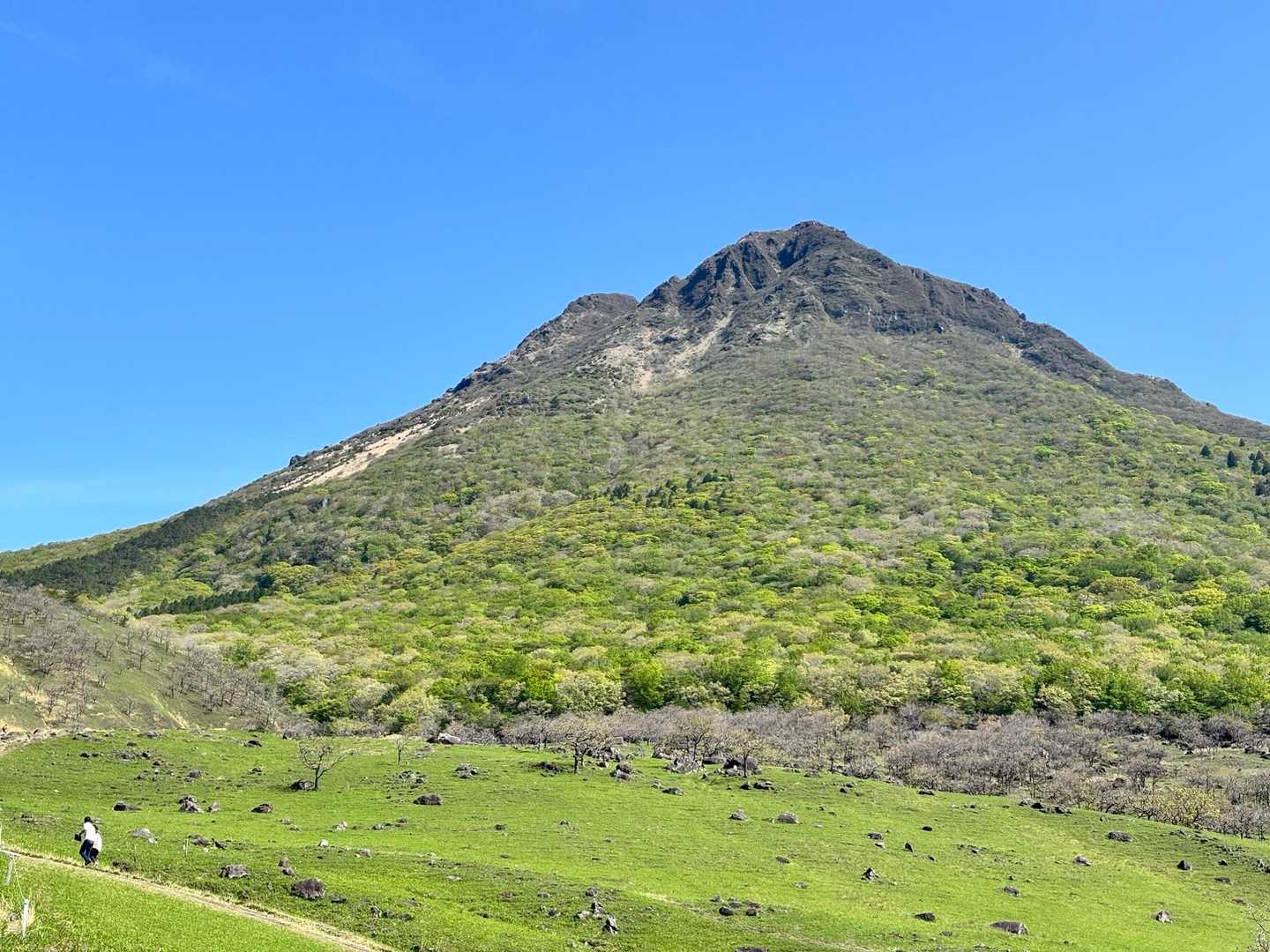 由布登山口バス停-由布岳正面登山口-由布岳 往復コースの写真