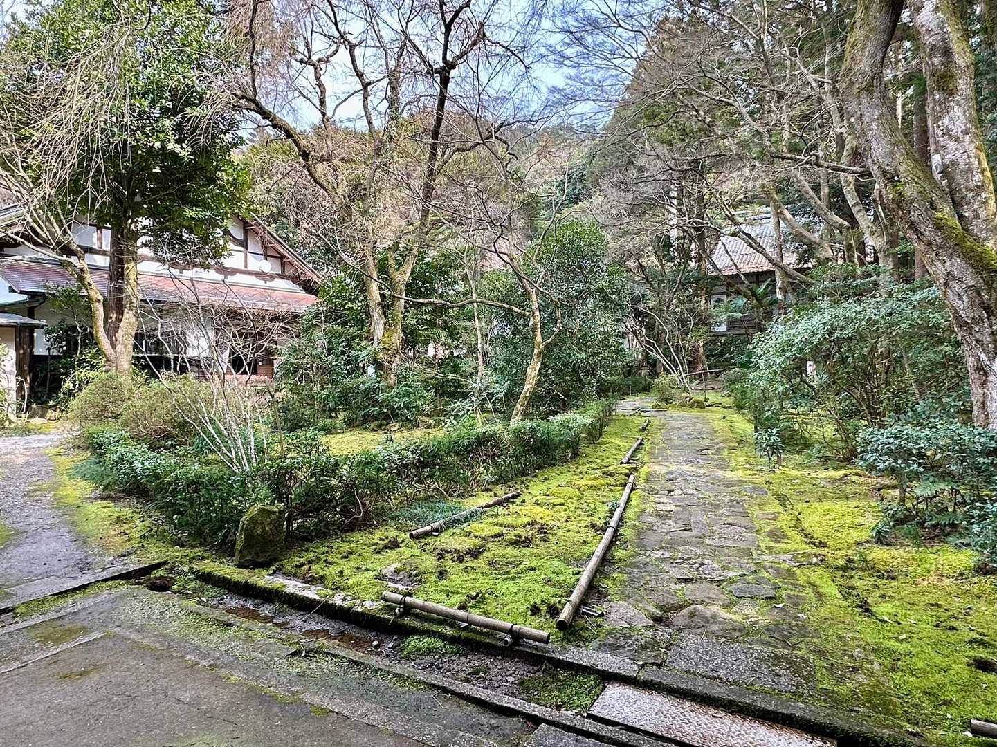 龍潭寺庭園につながる苔の道

禅宗の開祖・達磨大師を奉る“だるま寺”としても知られており、本堂には5,000体ものだるまが並び、最奥にはだるまたちの頭領と言うべき、ひときわ大きなだるま像が鎮座し、毎年4月1日•2日には“だるま祭り”が開催されます
　　　　　　　　　　　　　＊ネット情報から