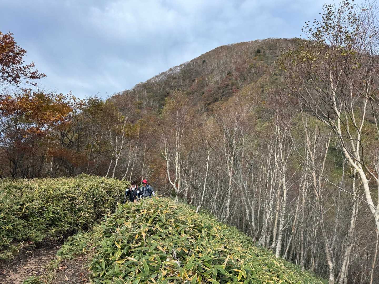 そして、なが〜い階段を下って、駒ヶ岳への登り返し
黒檜山がもうあんなに遠くです
…なんなら鞍部にもうひとつ登山口があればいいのに、赤城山は意外とエスケープルートがない