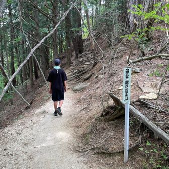 弥三郎岳登山口