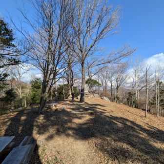 山頂付近 ごいさんは復活！笑