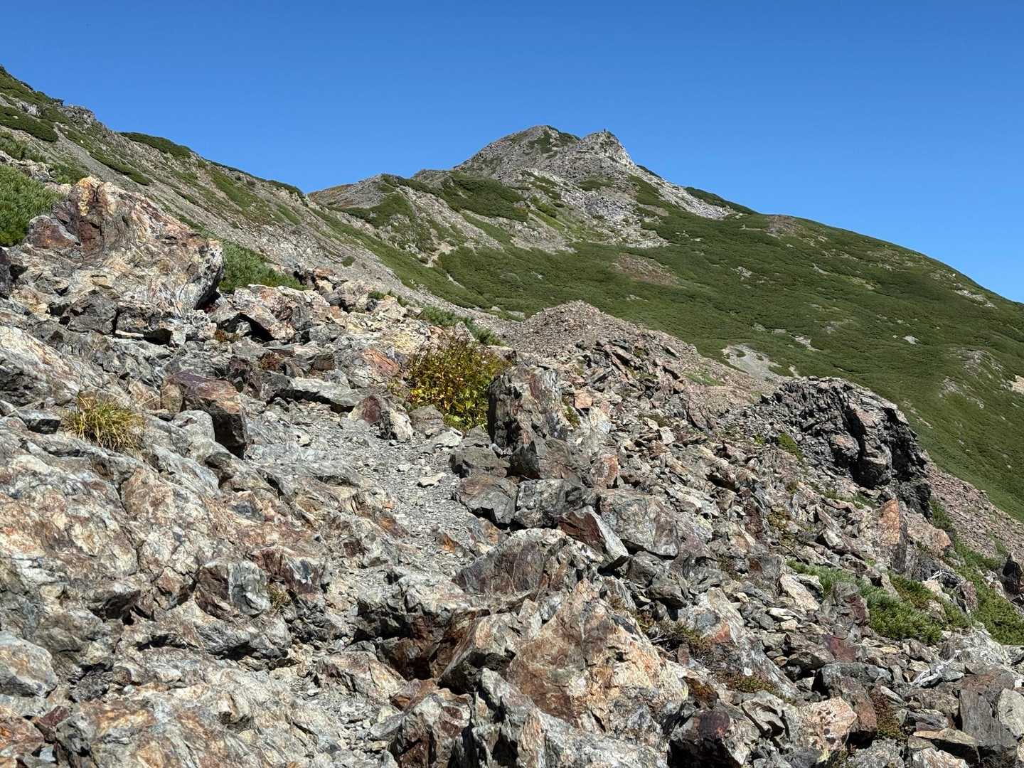 大門沢登山道入口-農鳥岳 往復コースの写真