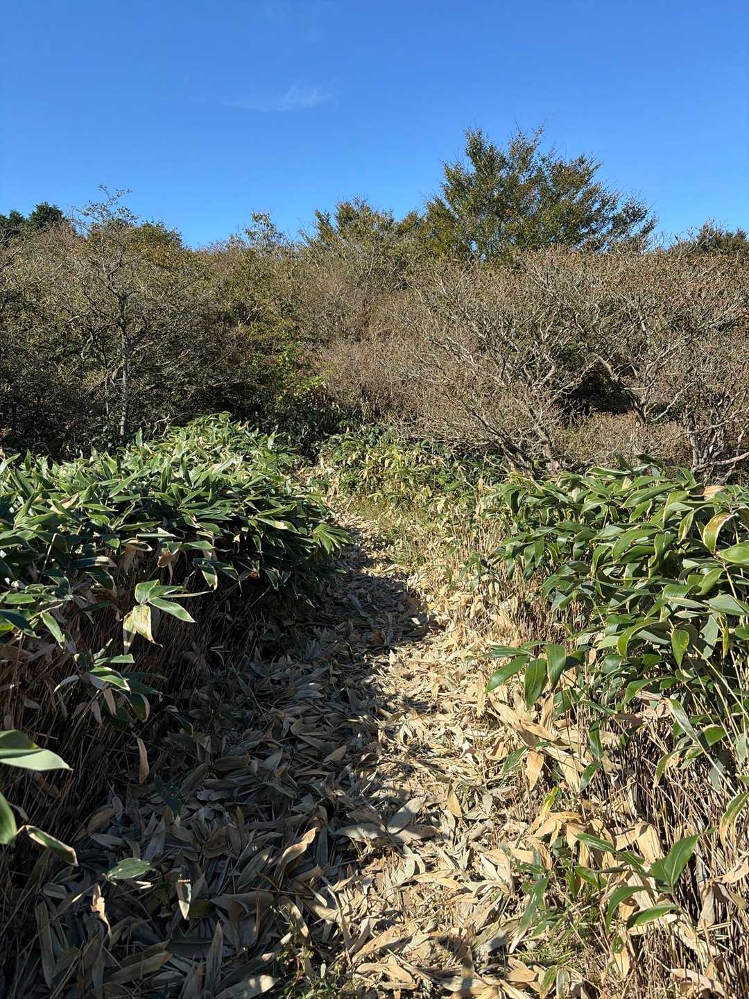 瑞梅寺登山口-洗谷登山口-井原山 周回コースの写真