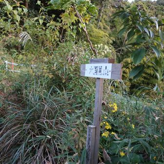 道不安だったけど、標識ありました