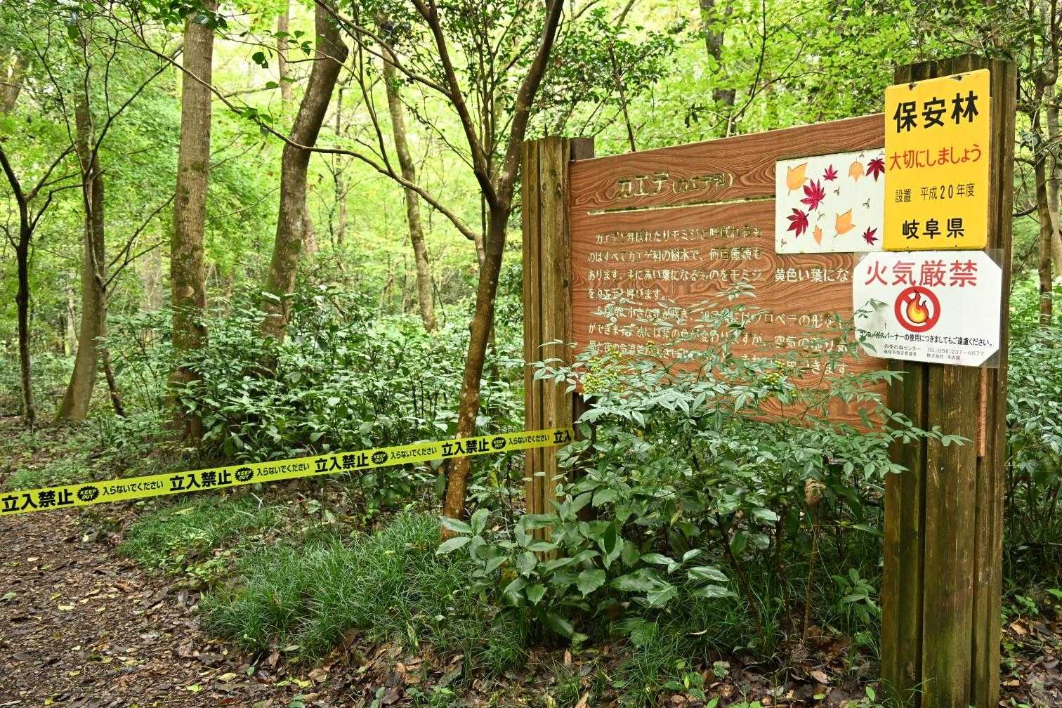 キャンプ場のすぐそばにも
立入禁止があります🚧