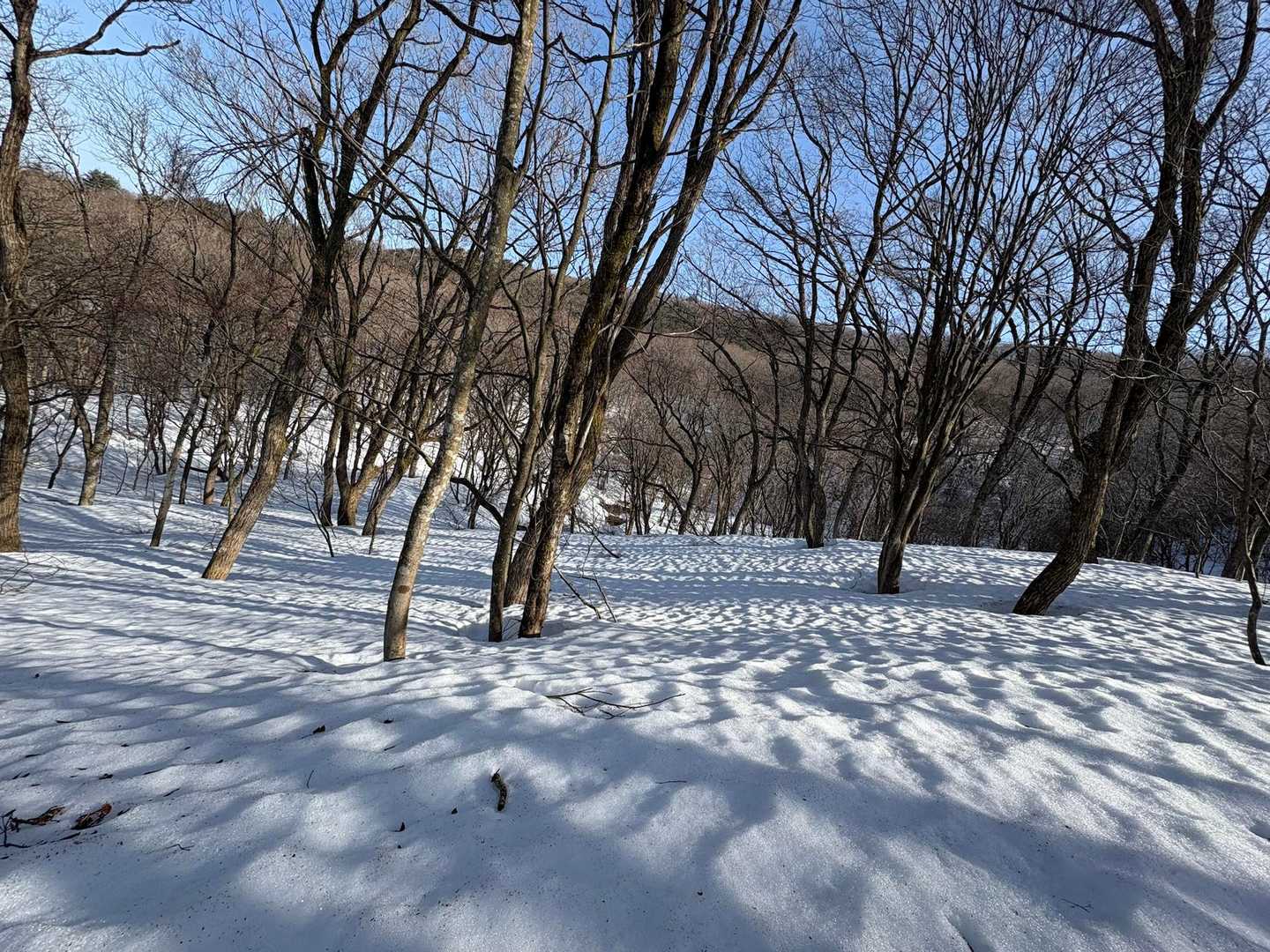 気持ち　いいっっす🩵💖