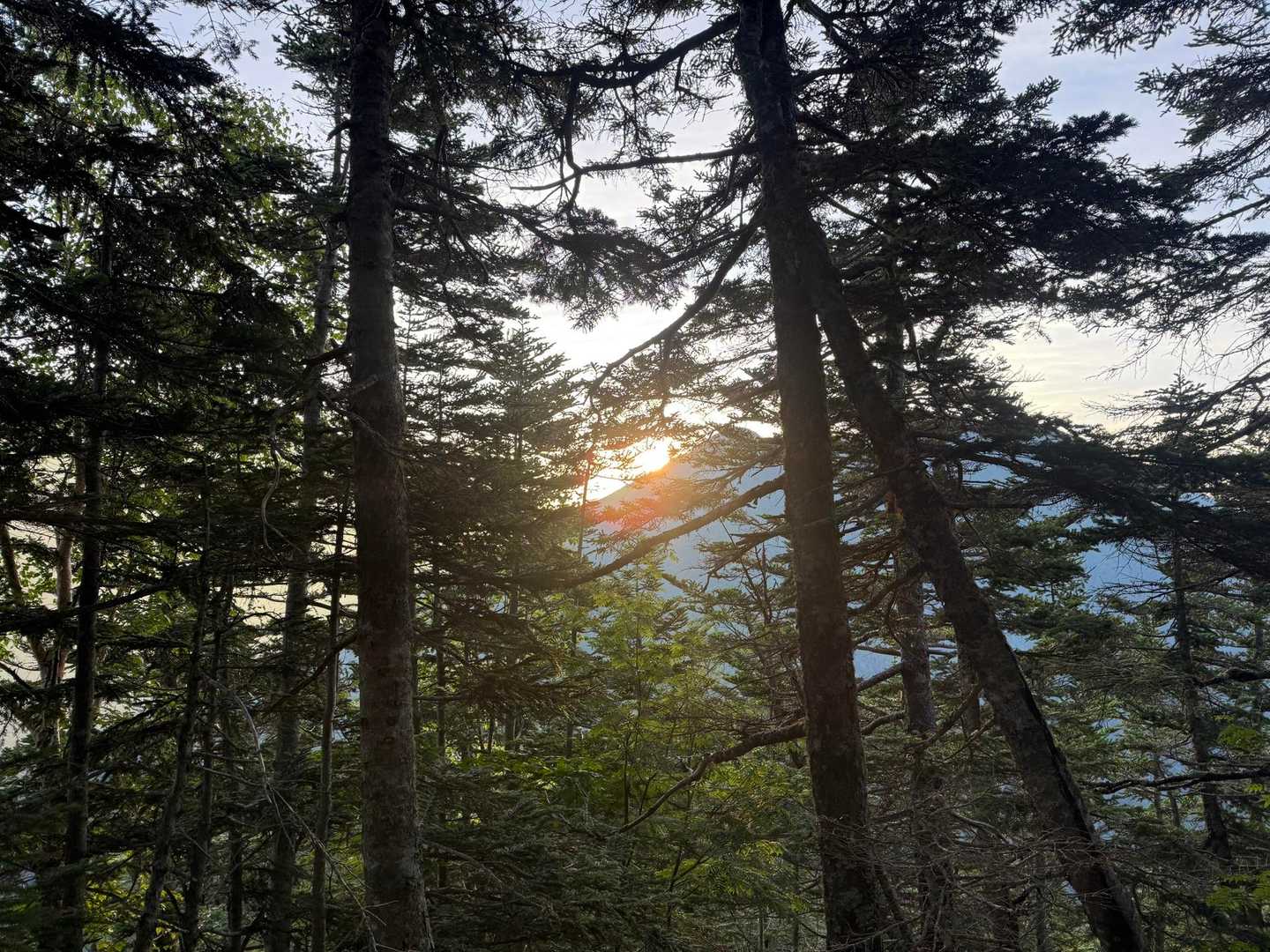 太陽が昇ってきました☀️