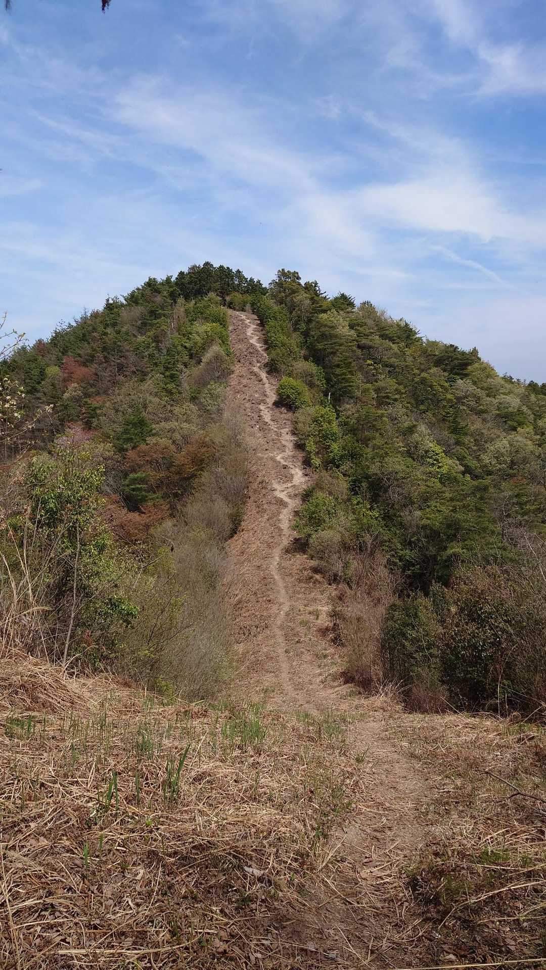 見るからには急登やなぁ🥹
でも､ ボチボチで良いから頑張らなくちゃ💪🤠