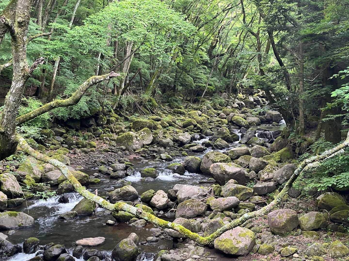吉部に下山する。