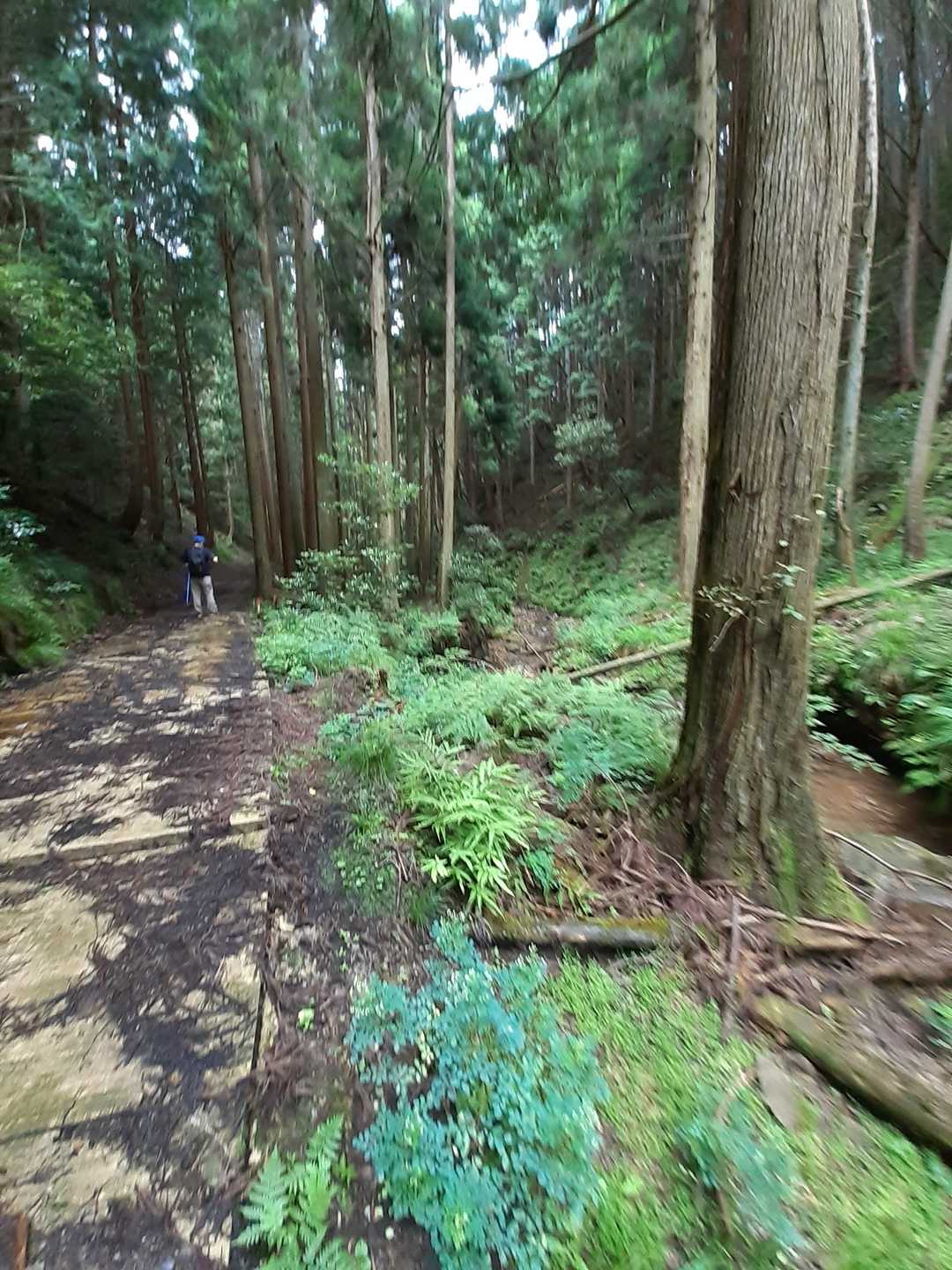 何とか雨に会わずに無事に帰ってこられました。今日も😃💕。