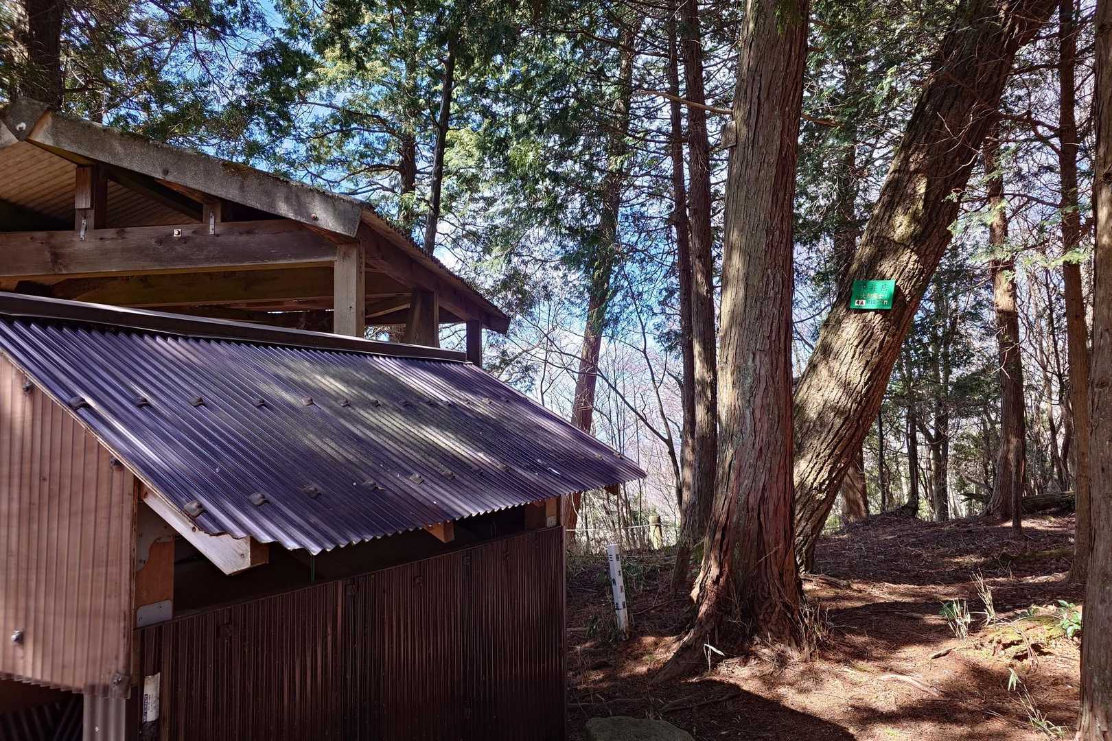 標高812mの静寂  額井岳 とうちょー 🙌

周囲は木々に囲まれていますがその分
静かで落ち着いた時間が流れています