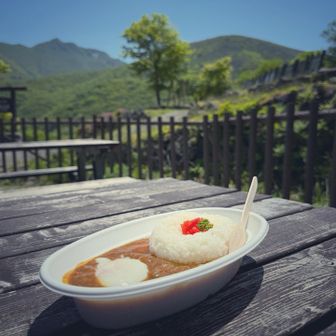 牛スジカレー温玉のせ