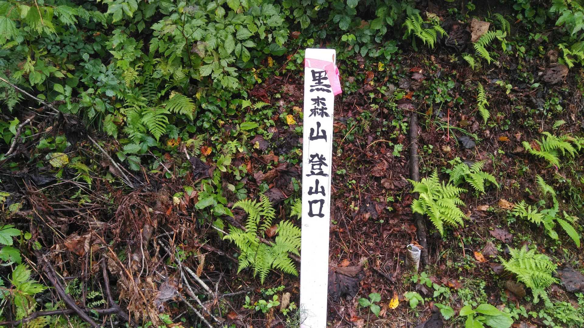 黒森山-御嶽山 周回コースの写真