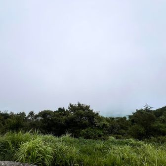 ガスが上がってきた☁️