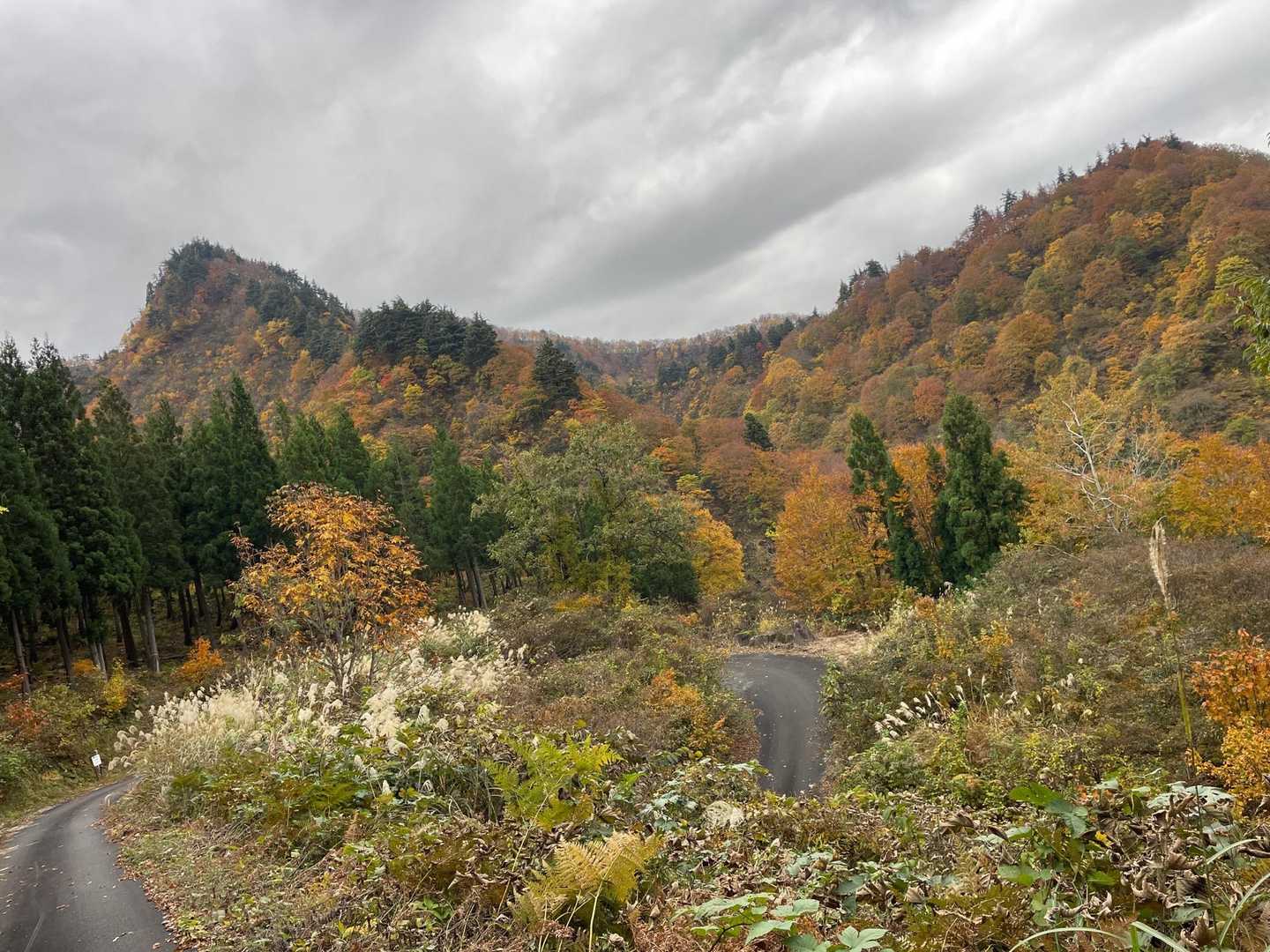 神弁橋からの尾根と名も無きピークがかっこいい👍　この辺りがいちばん綺麗かも🍁