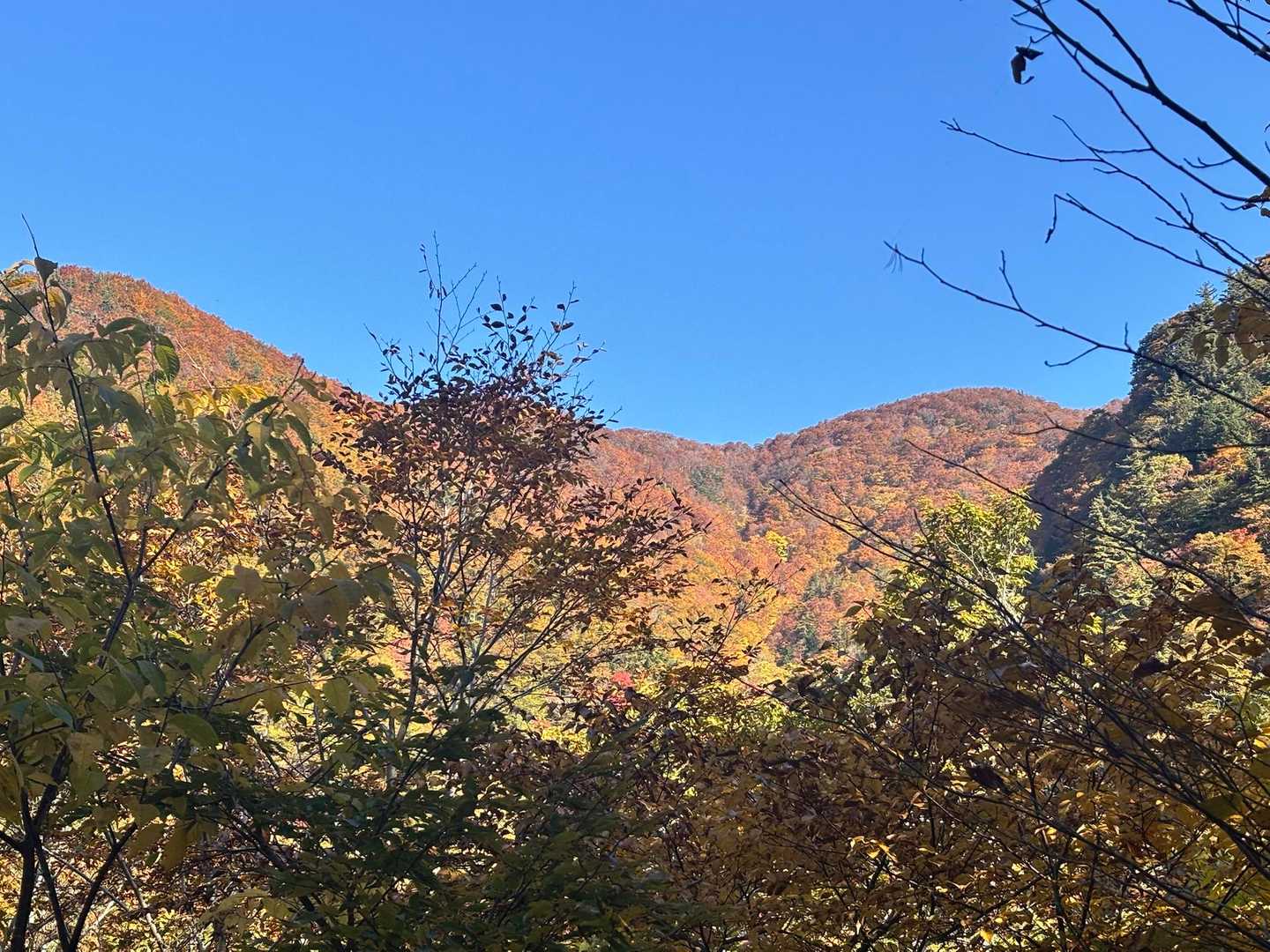 似たような写真を撮りまくってしまう