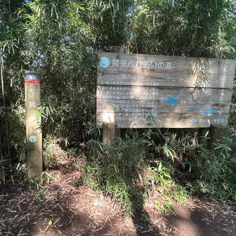 「大洞山530m」山頂標識
セブンサミッツの七つの山の中で最高峰