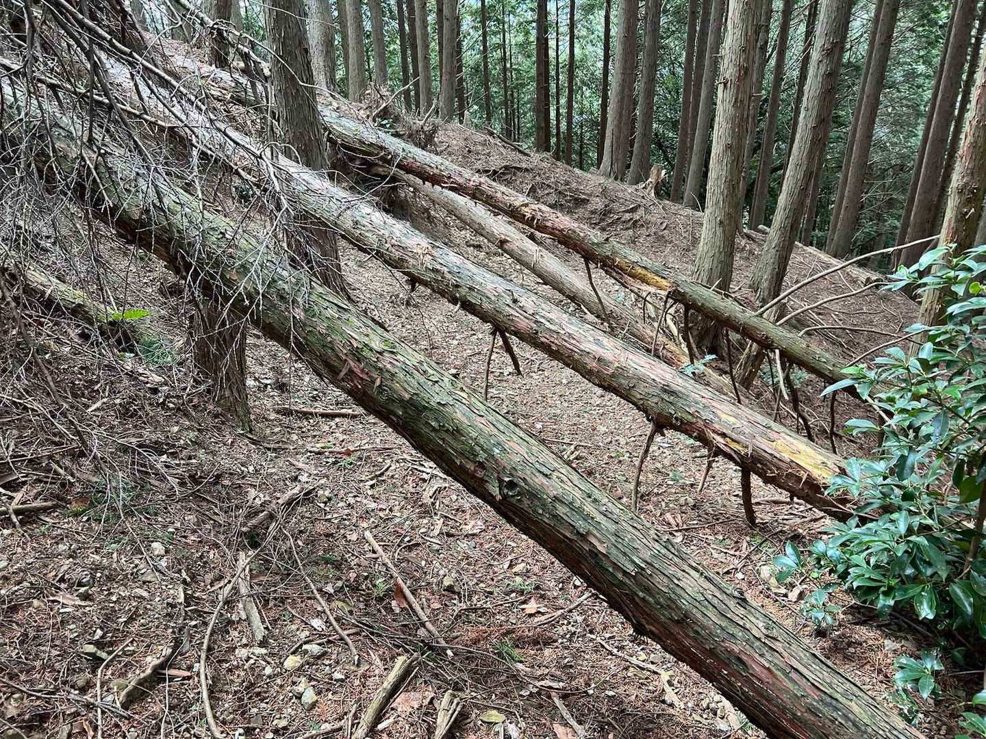 天狗城-松宇土 往復コースの写真