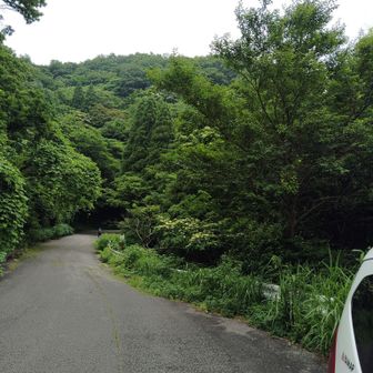 三条山登山口に🅿️は無く、路肩に停めて歩き出す🚗
(福井北からここまで100km。下道で2時間ちょい)　