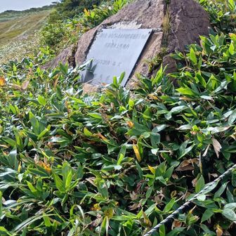 (追記)
2日目、朝日岳山頂を過ぎて。
ここからヤブコギに入ります。
※群馬県のレリーフがある辺り。