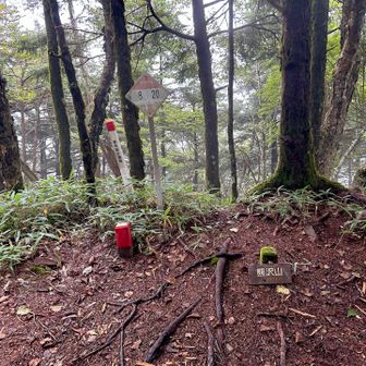 熊沢山のピークハント。
こちらのルートは人も少なく寂しい感じなのでピストンで戻ります