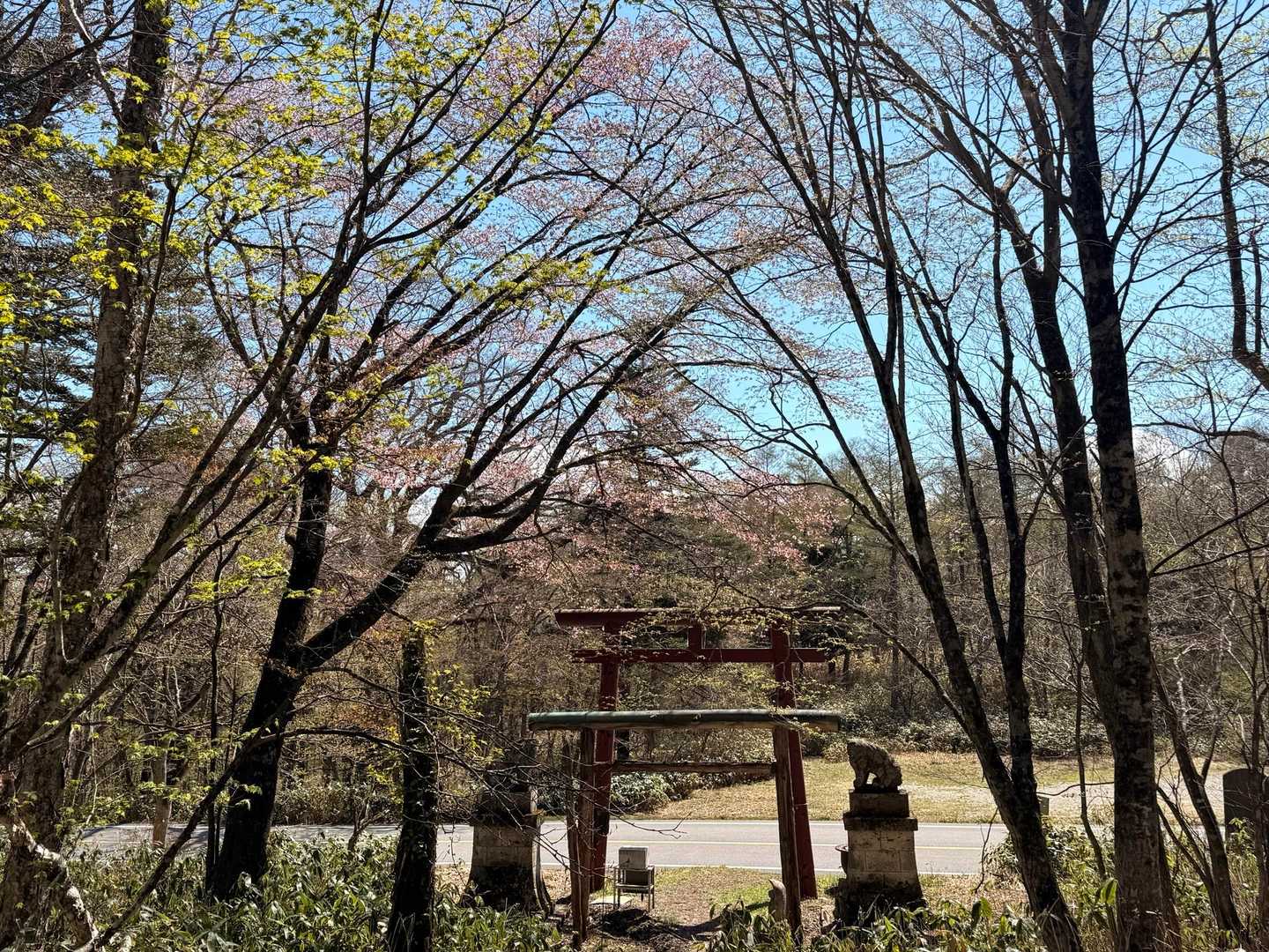 戻って来ましたー！！！
最後までありがとうございました🙇‍♀️
